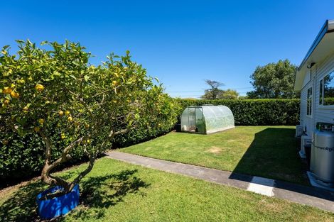 Photo of property in 151 Te Horo Beach Road, Te Horo, Otaki, 5581