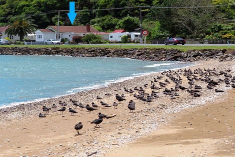 Photo of property in 530 Tararu Sh25 Road, Thames, 3500