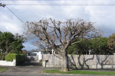 Photo of property in 107 Pownall Street, Masterton, 5810