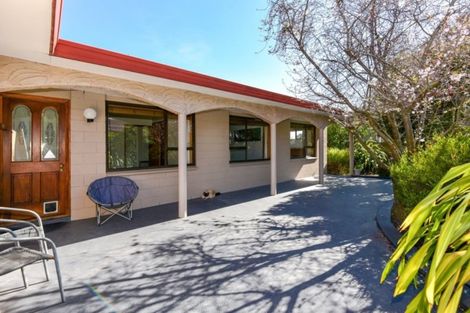 Photo of property in 8 Hersham Place, Bromley, Christchurch, 8062