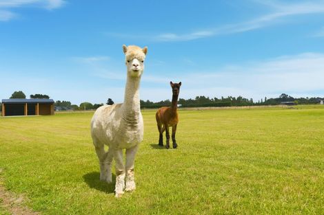 Photo of property in 944b Weedons Ross Road, West Melton, Christchurch, 7671