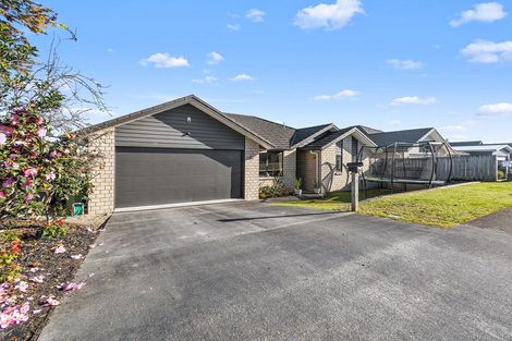 Photo of property in 48 Ihimaera Terrace, Leamington, Cambridge, 3432