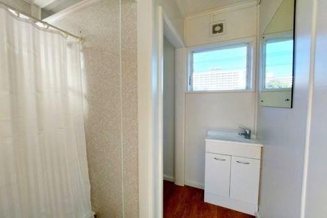 Photo of property in 119 Pembroke Street, Hamilton Lake, Hamilton, 3204