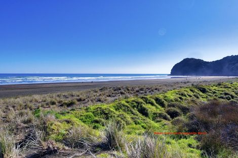 Photo of property in 43 North Piha Road, Piha, New Lynn, 0772