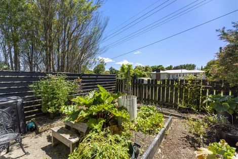 Photo of property in 33 Tararua Street, Pahiatua, 4910