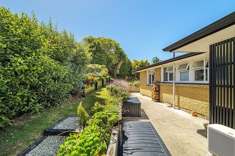 Photo of property in 14 Geelong Street, Waikouaiti, 9510