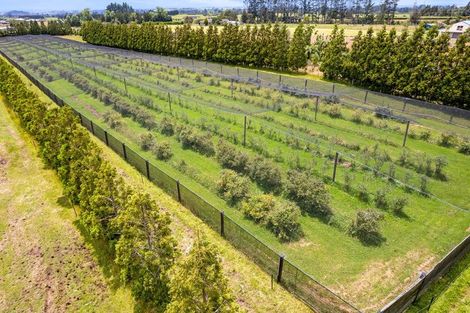 Photo of property in 438 Alfred Road, Kaimiro, New Plymouth, 4371