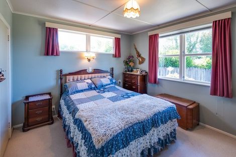 Photo of property in 14 Norrie Place, Putaruru, 3411