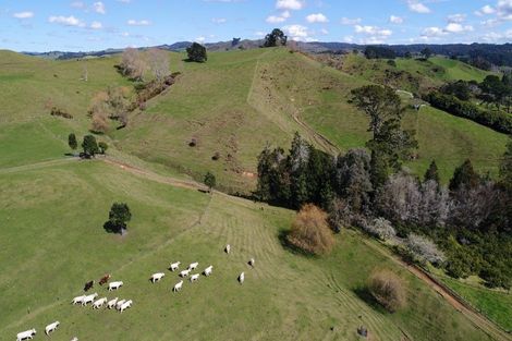 Photo of property in 559 Crawford Road, Minden, Tauranga, 3171