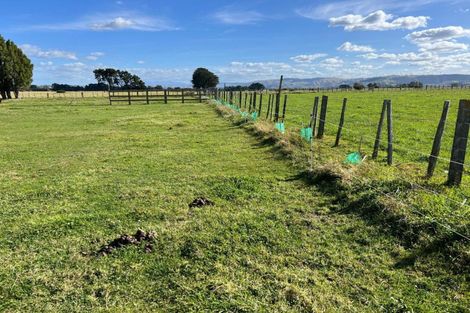 Photo of property in 141 Valley Road, Woodville, 4998