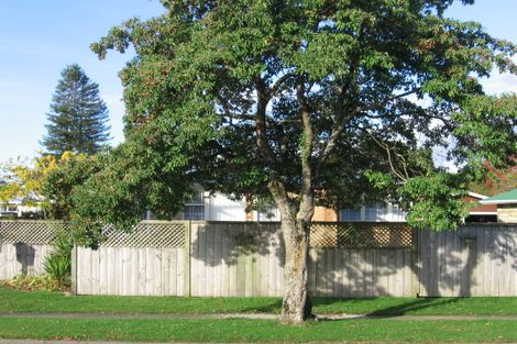 Photo of property in 111 Paraonui Road, Tokoroa, 3420