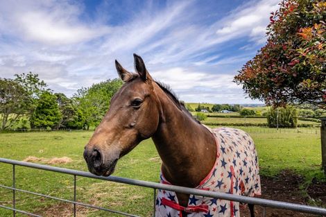 Photo of property in 15 Smith Road, Pakaraka, Kaikohe, 0472