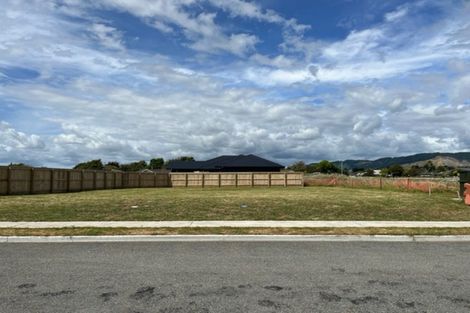 Photo of property in 44 Tainui Street, Levin, 5510