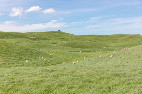 Photo of property in 300 Pattison Road, Akina, Hastings, 4122