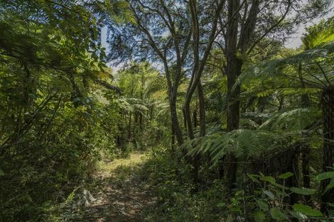 Photo of property in 185 Kaimarama Road, Kaimarama, Whitianga, 3591