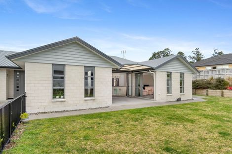Photo of property in 161 Rowesdale Drive, Ohauiti, Tauranga, 3112