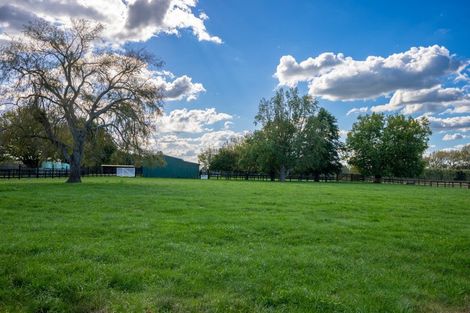 Photo of property in 105 Marshmeadow Road, Newstead, Hamilton, 3286