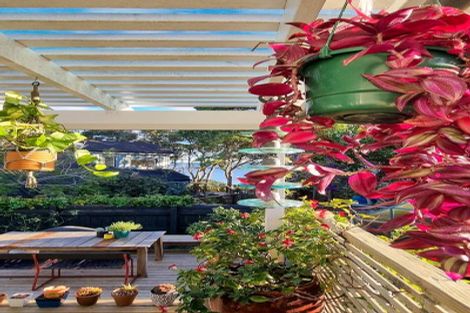 Photo of property in 1/146 Rangatira Road, Beach Haven, Auckland, 0626