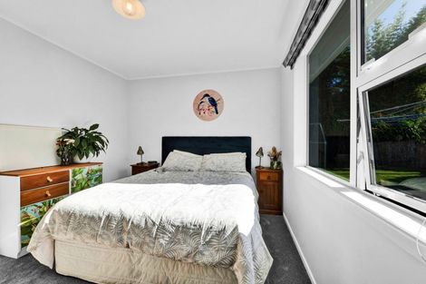 Photo of property in 51 Parsons Street, Vogeltown, New Plymouth, 4310