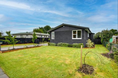 Photo of property in 21 Upham Street, Havelock North, 4130