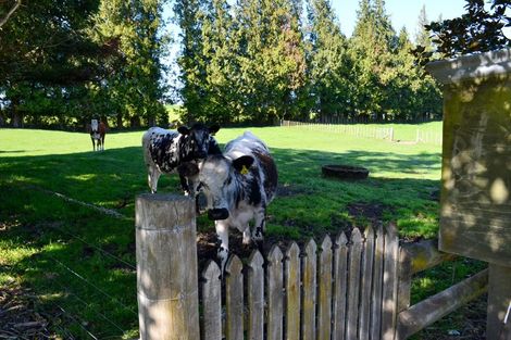 Photo of property in 254 Paerata Road, Tirohanga, Atiamuri, 3078