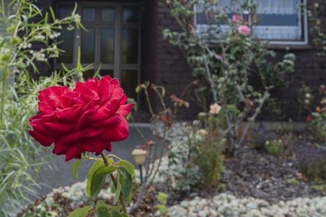 Photo of property in 93 Puriri Park Road, Maunu, Whangarei, 0110