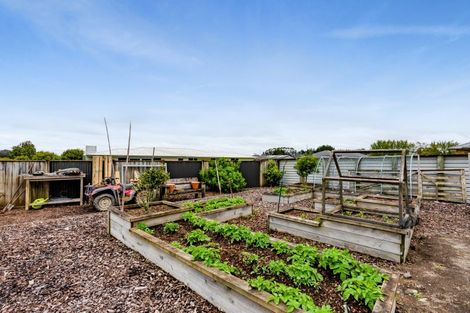 Photo of property in 34 Mercade Close, Stratford, 4332