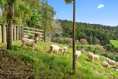 Photo of property in 624 Golden Stairs Road, Mareretu, Maungaturoto, 0589