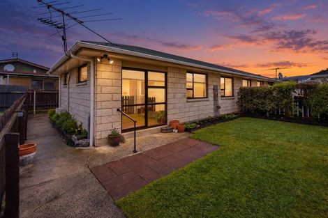 Photo of property in 227e Oxford Street, South Dunedin, Dunedin, 9012