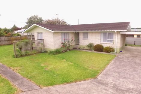 Photo of property in 30b Barnett Street, Putaruru, 3411