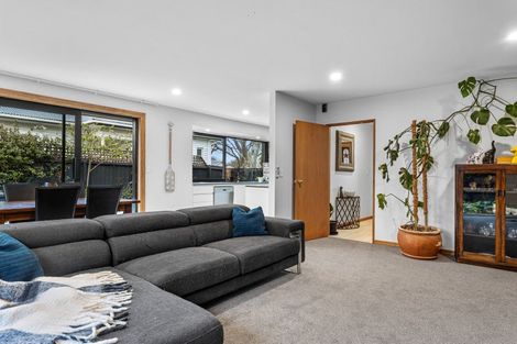 Photo of property in 33 Dee Street, St Albans, Christchurch, 8014