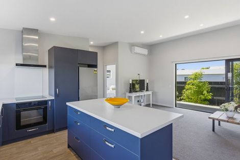 Photo of property in 33a Keepa Street, Levin, 5510