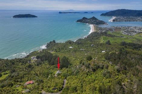 Photo of property in 131 Pumpkin Hill Road, Pumpkin Hill, Whitianga, 3591