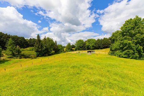 Photo of property in 157b Otapouri Road, Owhango, 3989