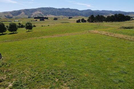 Photo of property in 97 Mcconaghty Road, Papatawa, Woodville, 4998
