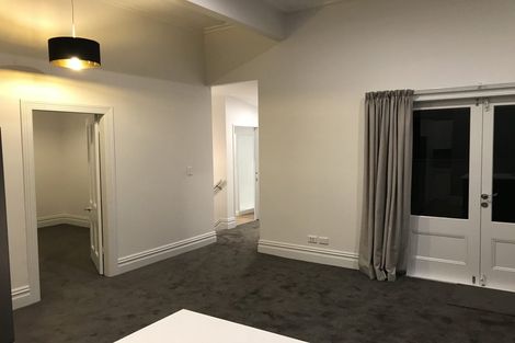 Photo of property in 23 Buchanan Street, Kingsland, Auckland, 1021