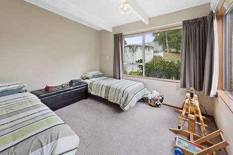 Photo of property in 96 Middle Street, Pukerau, Gore, 9772