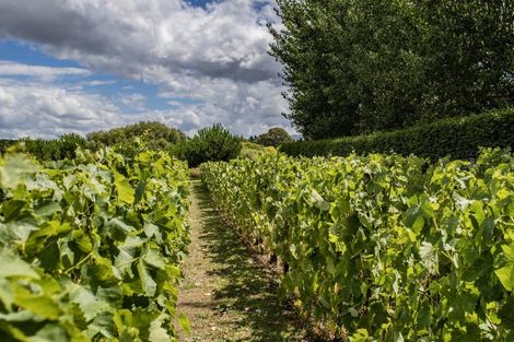 Photo of property in 41 Vineyard Lane, Waipara, Amberley, 7483