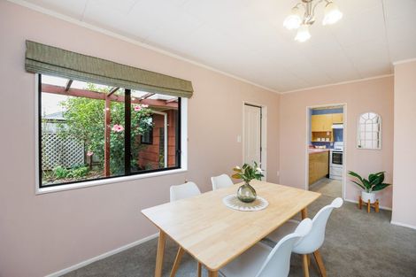 Photo of property in 27a Worcester Street, West End, Palmerston North, 4410