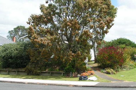 Photo of property in 15 Northumberland Avenue, Hauraki, Auckland, 0622