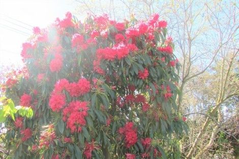 Photo of property in 70 Dunedin Street, Redwood, Christchurch, 8051