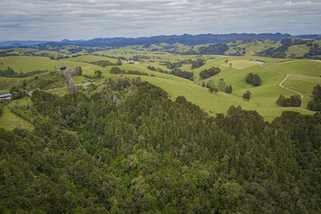 Photo of property in 98 Kiwi Bush Lane, Ngunguru, Whangarei, 0173