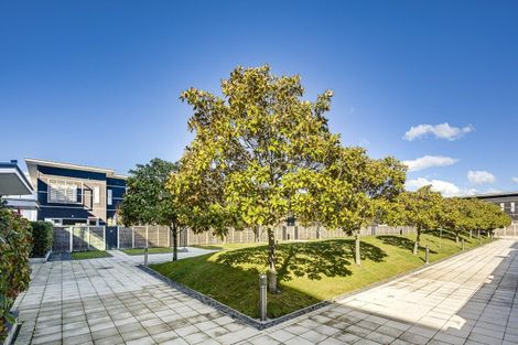 Photo of property in The Terraces, 37/9 Humber Street, Pandora, Napier, 4110