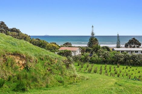 Photo of property in 59 Pohutukawa Drive, Waiotahe, Opotiki, 3198