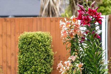 Photo of property in 18 Vasari Grange, Rolleston, 7614