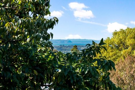 Photo of property in 27 Hikanui Drive, Havelock North, 4130