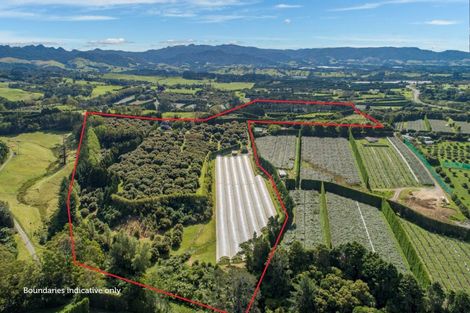 Photo of property in 44 Walker Road West, Aongatete, Katikati, 3178