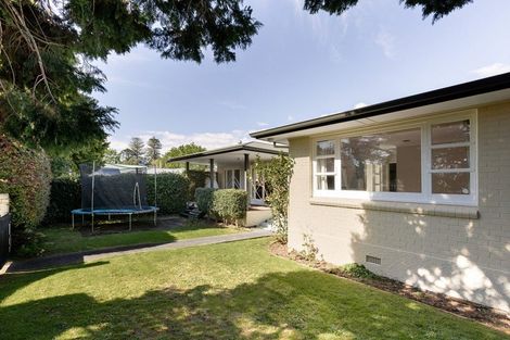 Photo of property in 92a Grace Road, Tauranga South, Tauranga, 3112