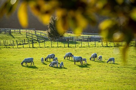 Photo of property in 361 Waitoki Road, Waitoki, Kaukapakapa, 0871