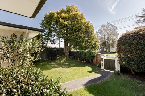Photo of property in 92a Grace Road, Tauranga South, Tauranga, 3112